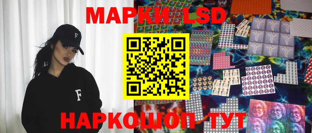 Псилоцибиновые грибы Ухта