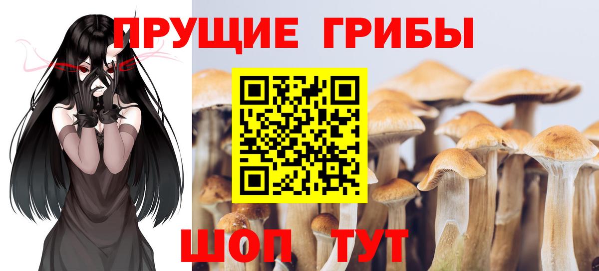 Псилоцибиновые грибы мицелий  Вход с VPN  Ухта  Галлюциногенные грибы Cubensis 